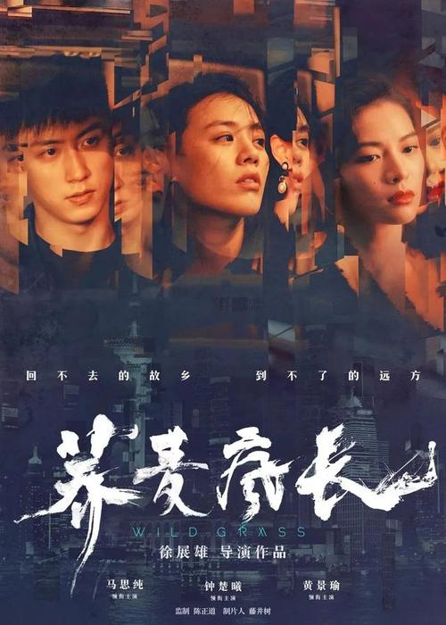 切塞纳音乐学院设计学位证